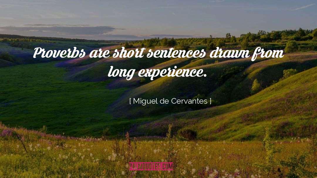 Short Sentences quotes by Miguel De Cervantes