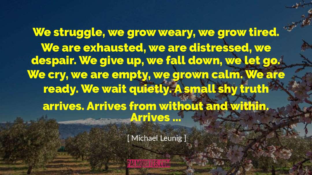 Short Sightedness quotes by Michael Leunig