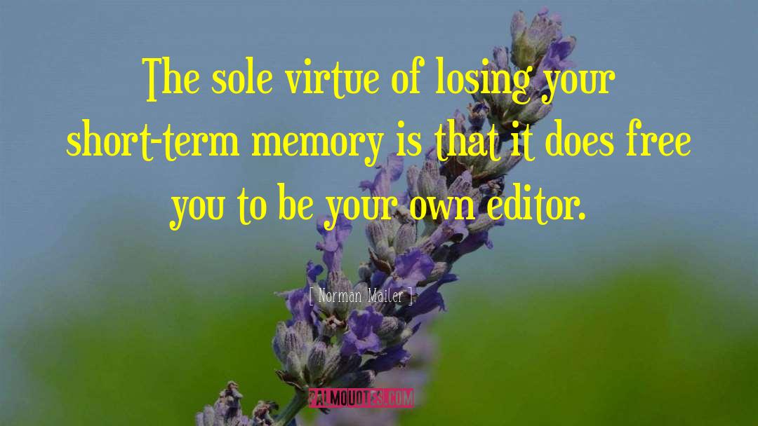 Short Term Memory quotes by Norman Mailer