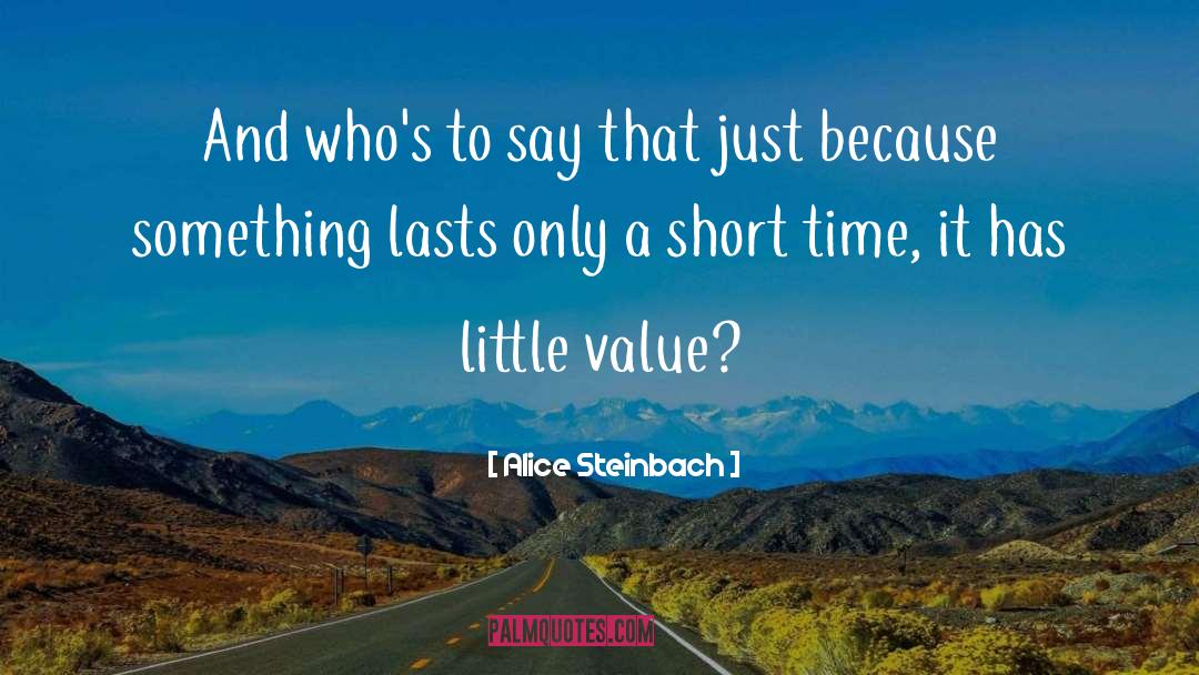 Short Time quotes by Alice Steinbach