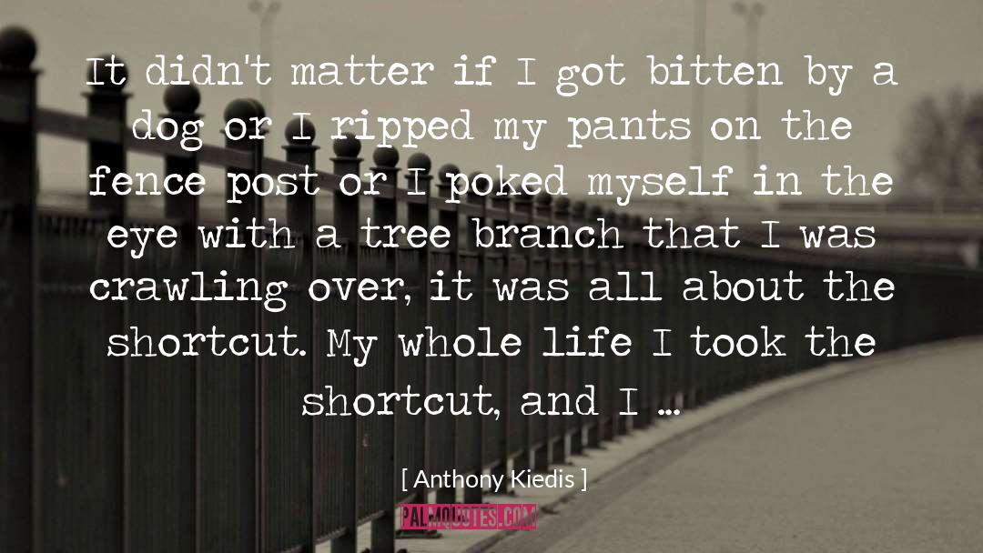 Shortcut quotes by Anthony Kiedis