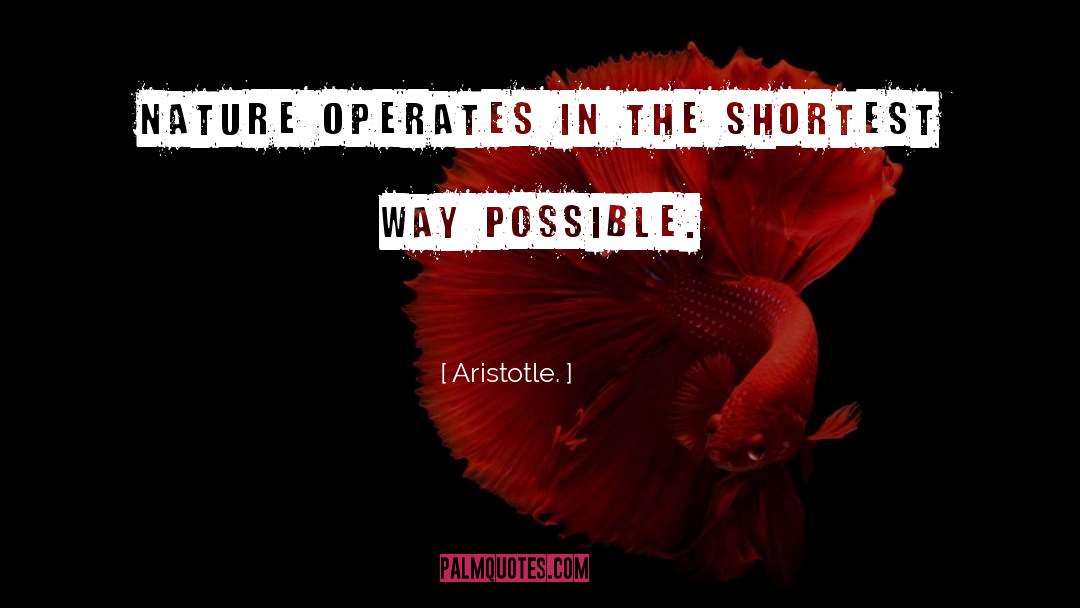 Shortest quotes by Aristotle.