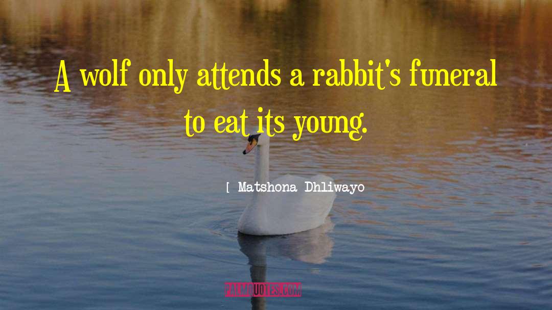 Shortest Wise quotes by Matshona Dhliwayo