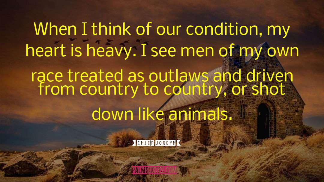 Shot Down quotes by Chief Joseph