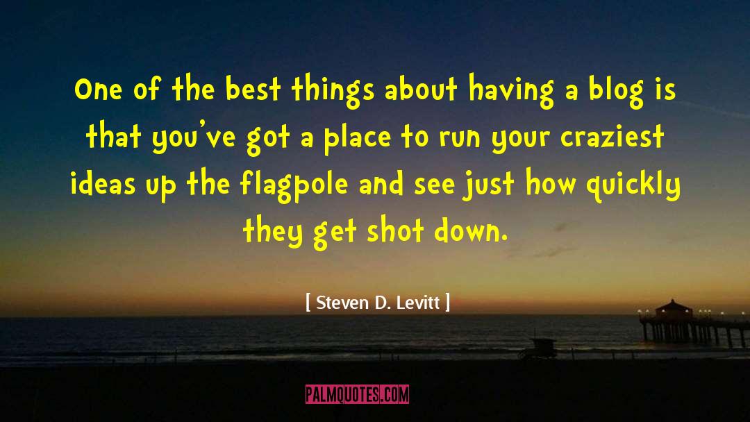 Shot Down quotes by Steven D. Levitt