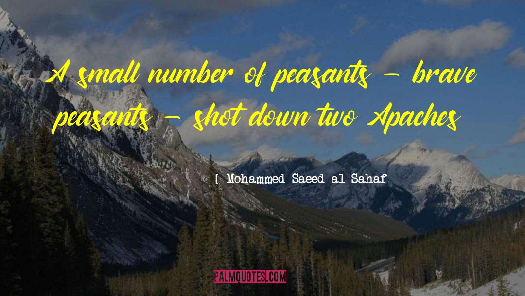 Shot Down quotes by Mohammed Saeed Al-Sahaf