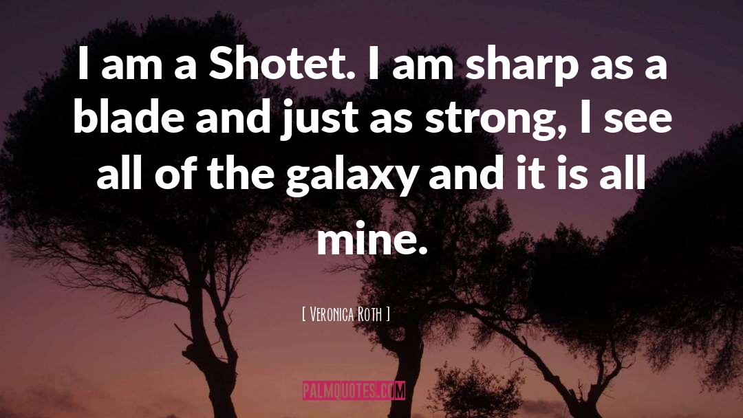 Shotet quotes by Veronica Roth