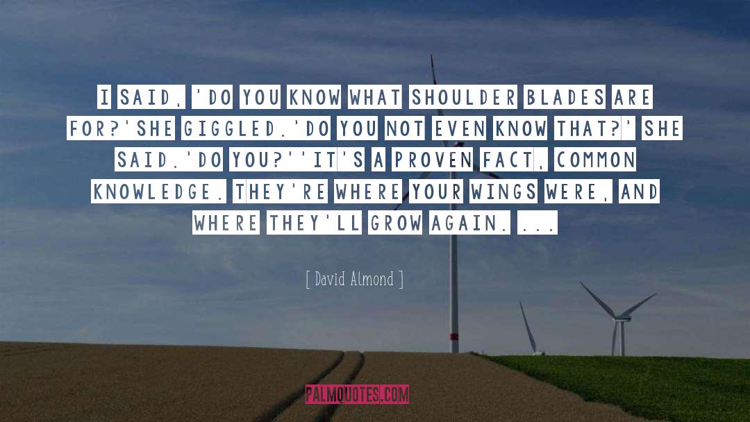 Shoulder Blades quotes by David Almond