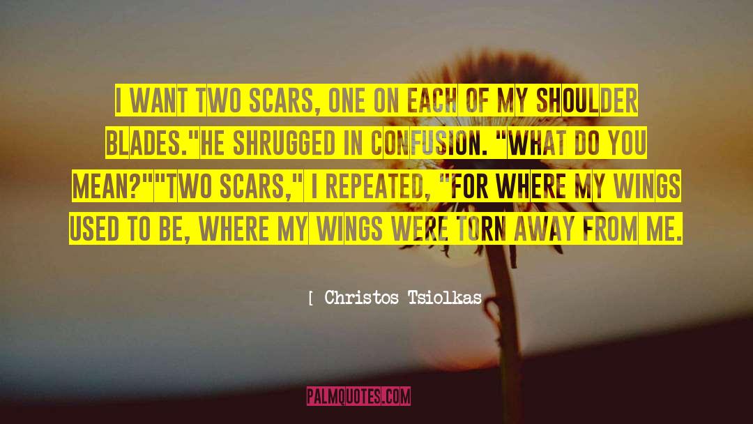Shoulder Blades quotes by Christos Tsiolkas