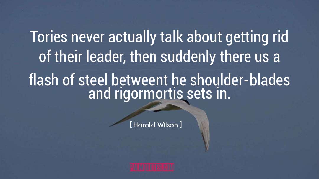 Shoulder Blades quotes by Harold Wilson