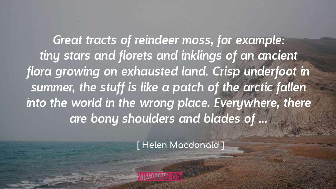 Shoulders quotes by Helen Macdonald