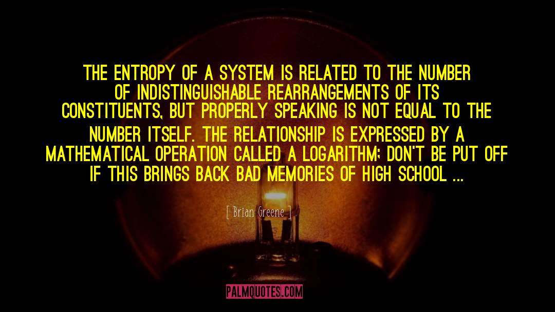 Shouldn T You Be In School quotes by Brian Greene