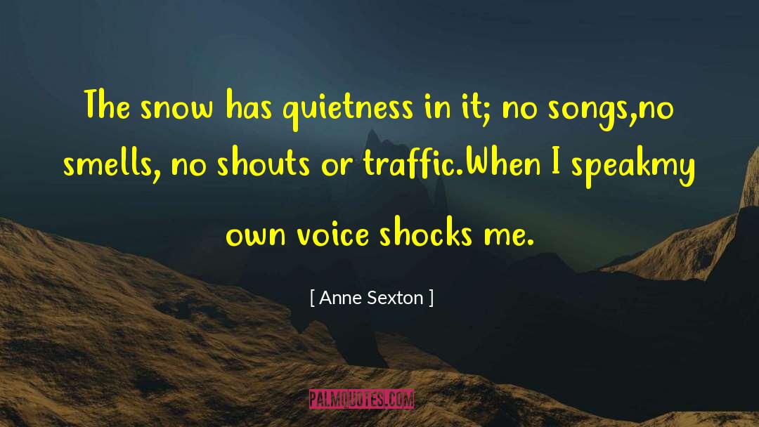 Shouts quotes by Anne Sexton