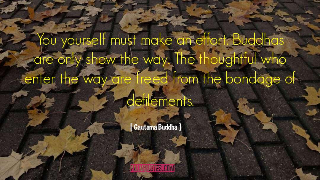 Show The Way quotes by Gautama Buddha