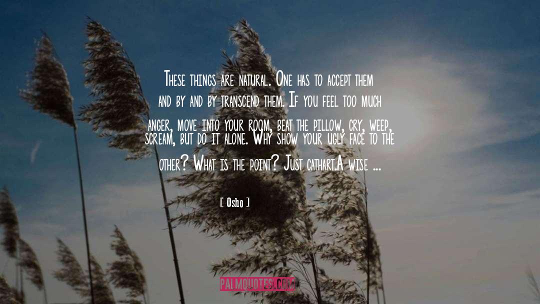 Show Them The Curve quotes by Osho