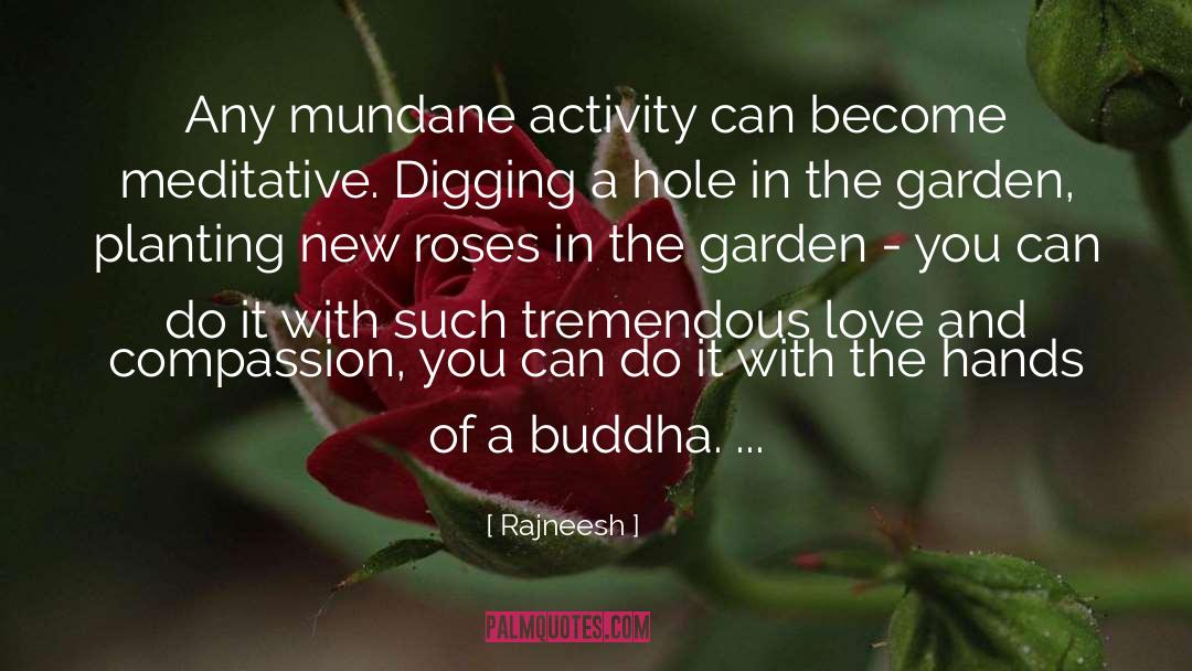 Shower Of Roses quotes by Rajneesh