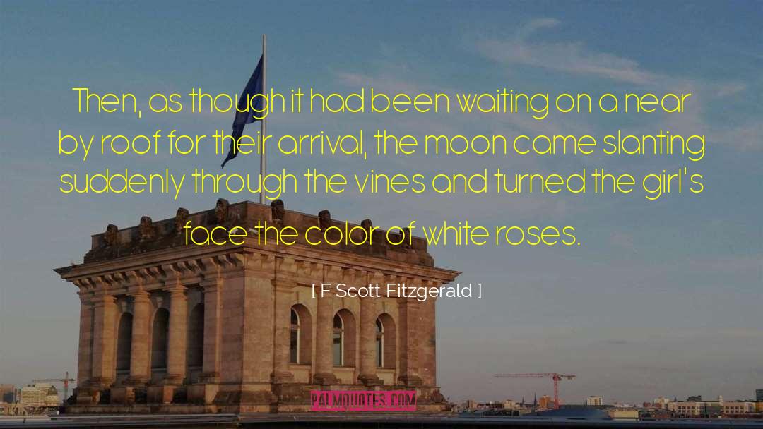 Shower Of Roses quotes by F Scott Fitzgerald