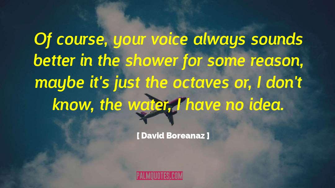 Showers quotes by David Boreanaz