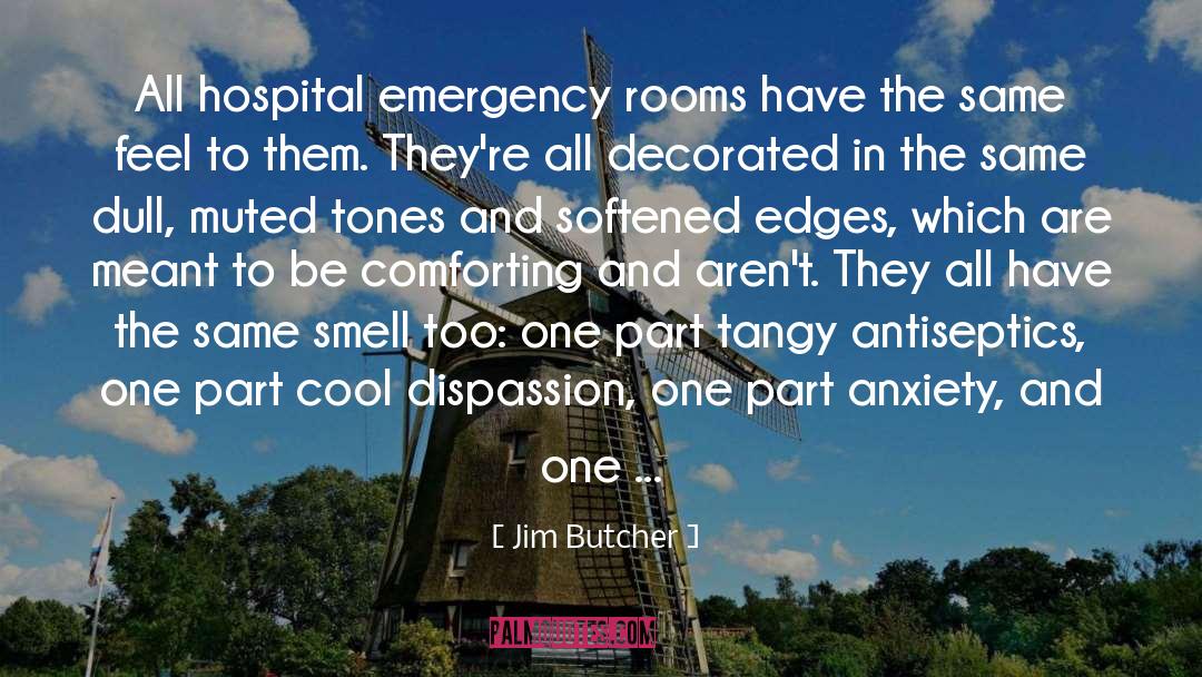 Showily Decorated quotes by Jim Butcher