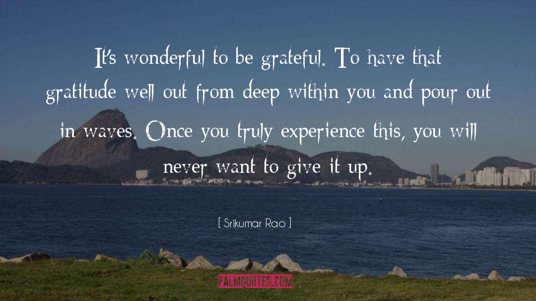 Showing Gratitude quotes by Srikumar Rao