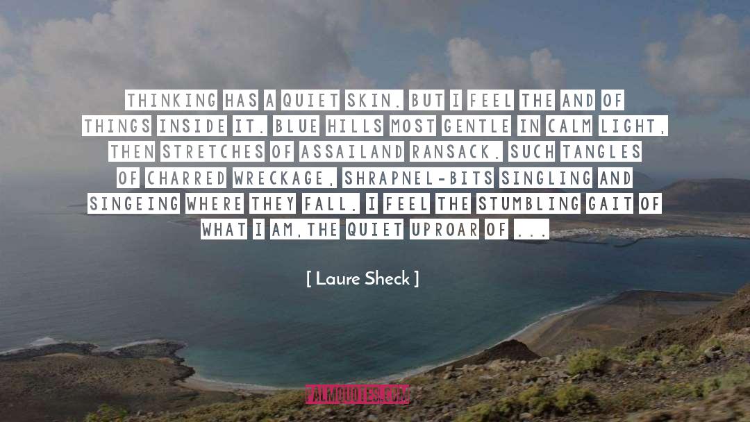 Shrapnel quotes by Laure Sheck