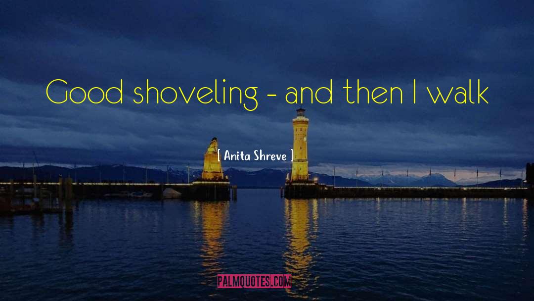 Shreve quotes by Anita Shreve