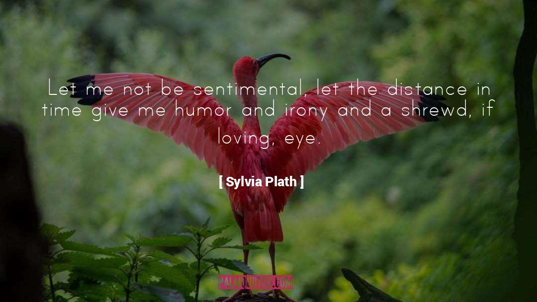 Shrewd quotes by Sylvia Plath