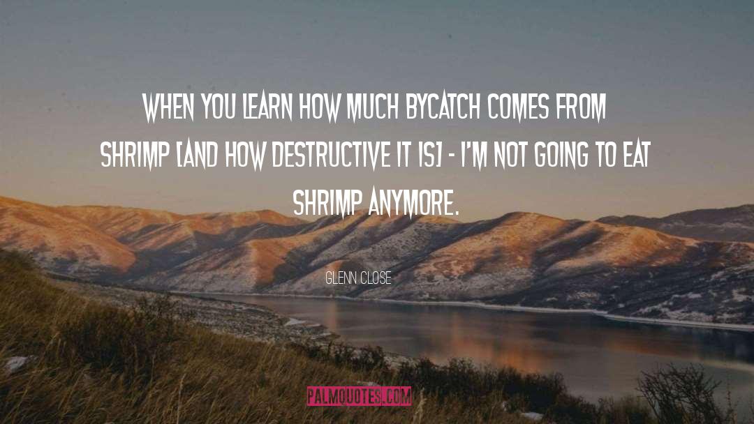 Shrimp quotes by Glenn Close