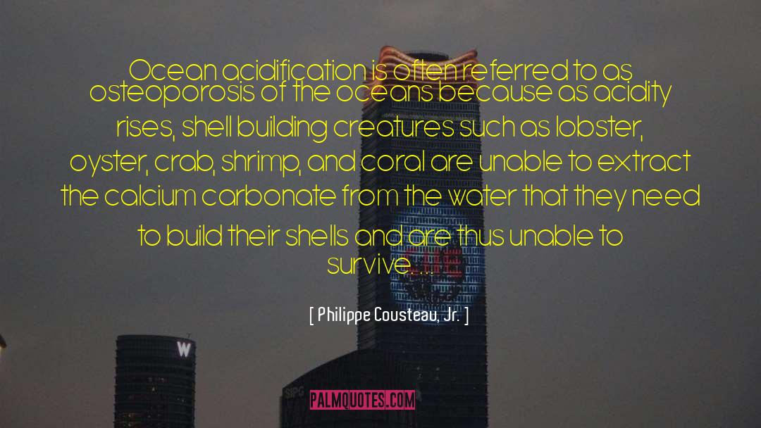 Shrimp quotes by Philippe Cousteau, Jr.