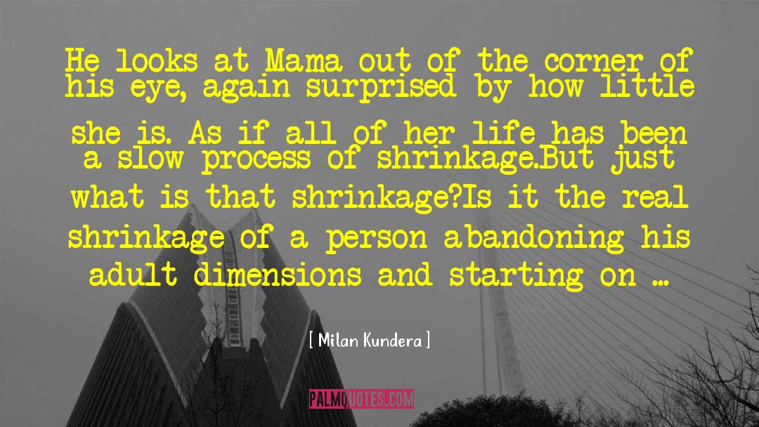 Shrinkage quotes by Milan Kundera