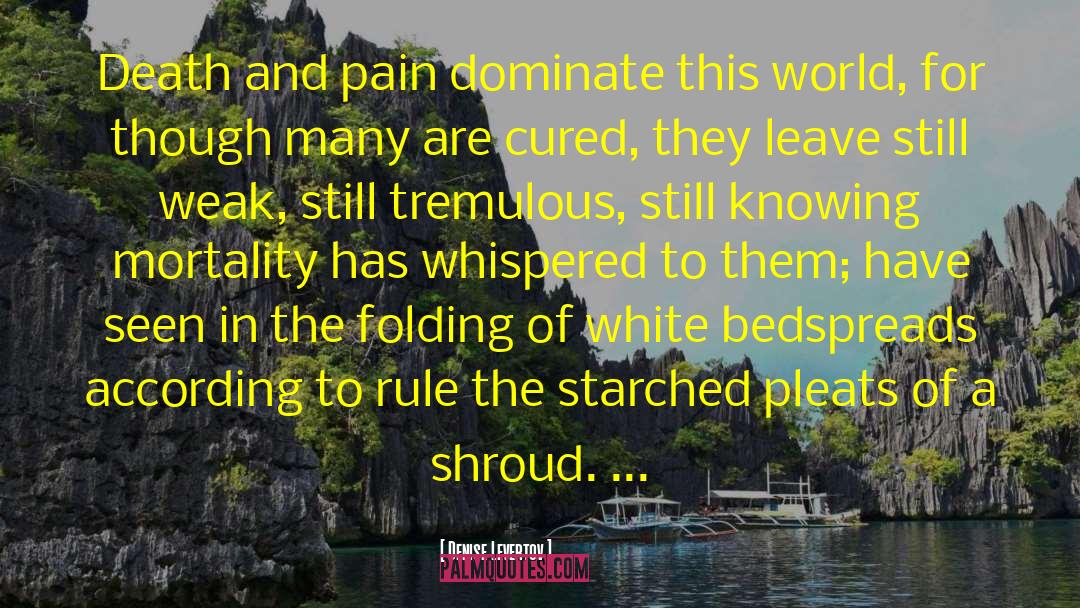 Shrouds quotes by Denise Levertov