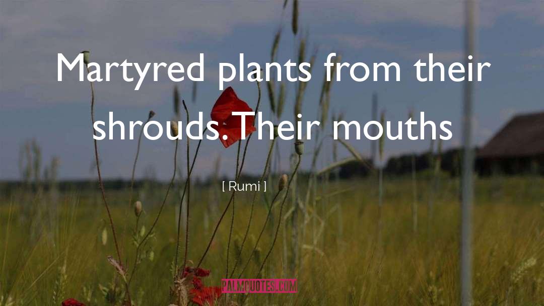 Shrouds quotes by Rumi