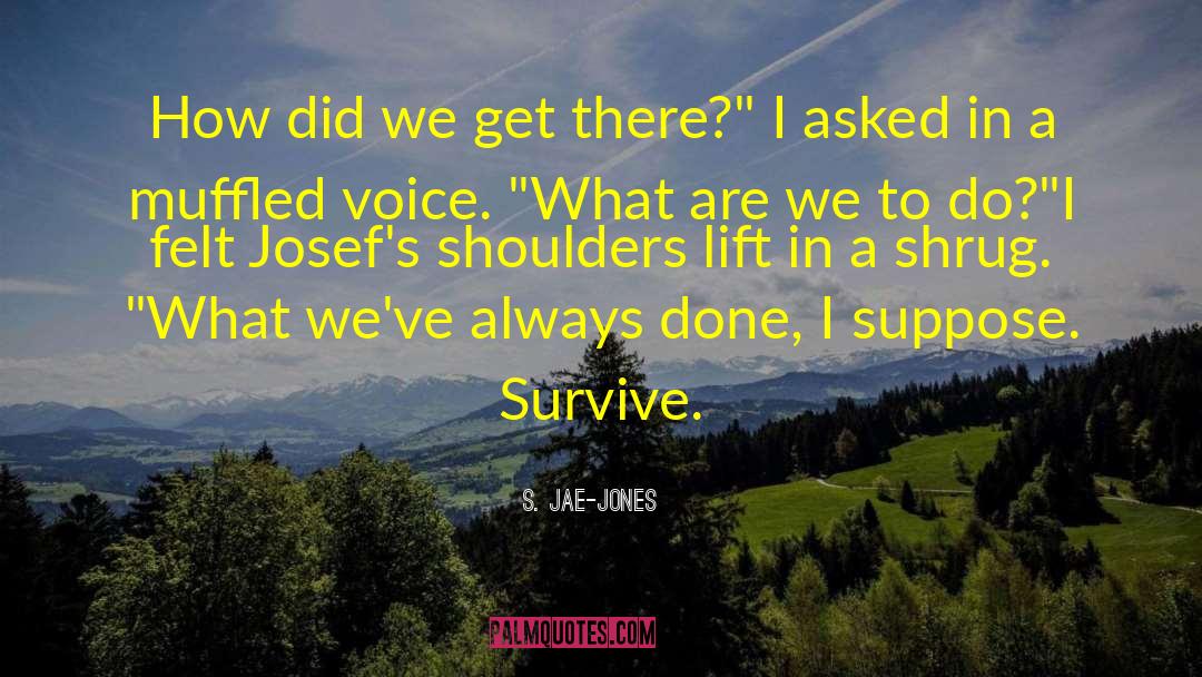 Shrug quotes by S. Jae-Jones