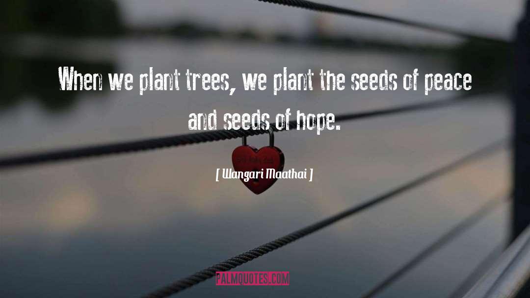 Shubra Plant quotes by Wangari Maathai
