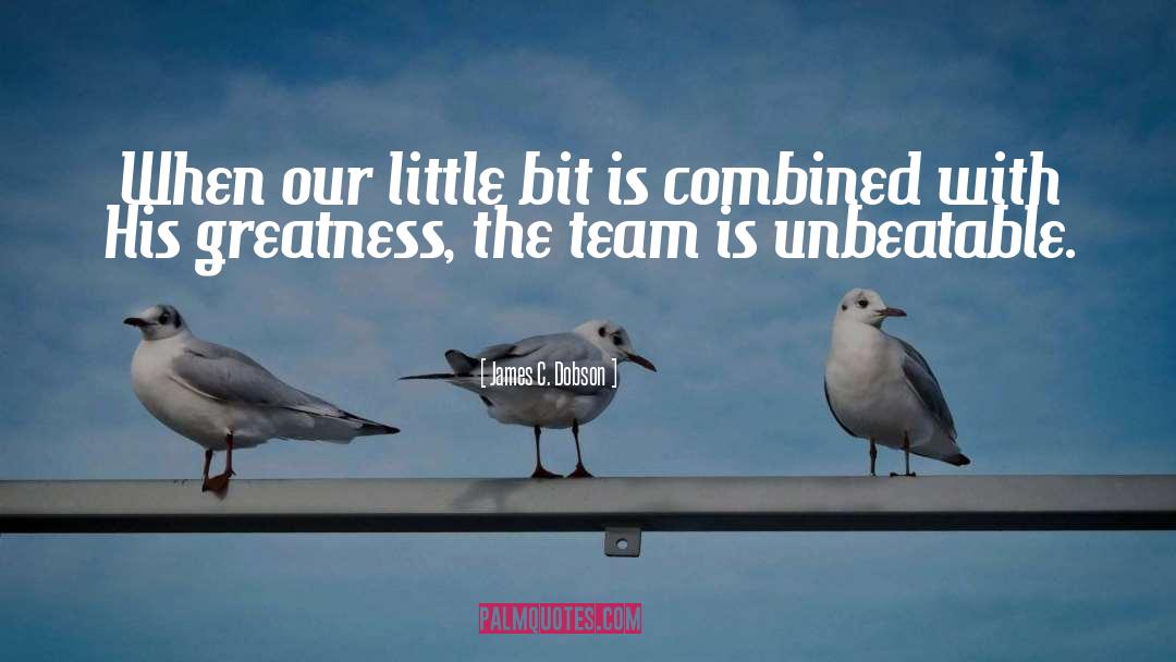 Shuriken Team quotes by James C. Dobson