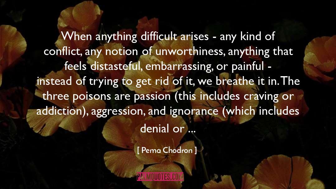 Shut Down quotes by Pema Chodron