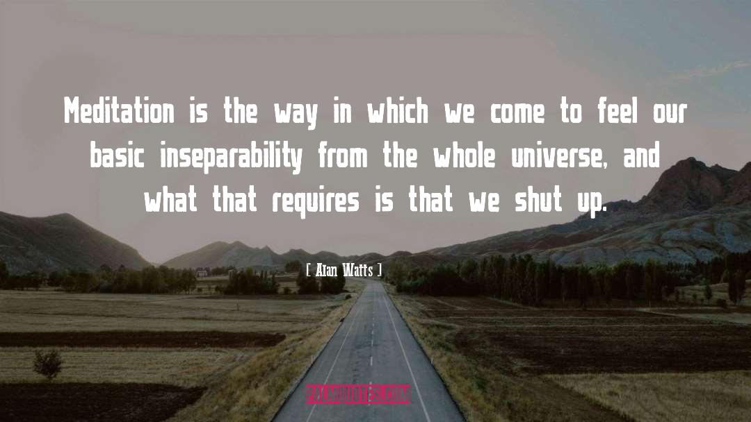 Shut Up quotes by Alan Watts