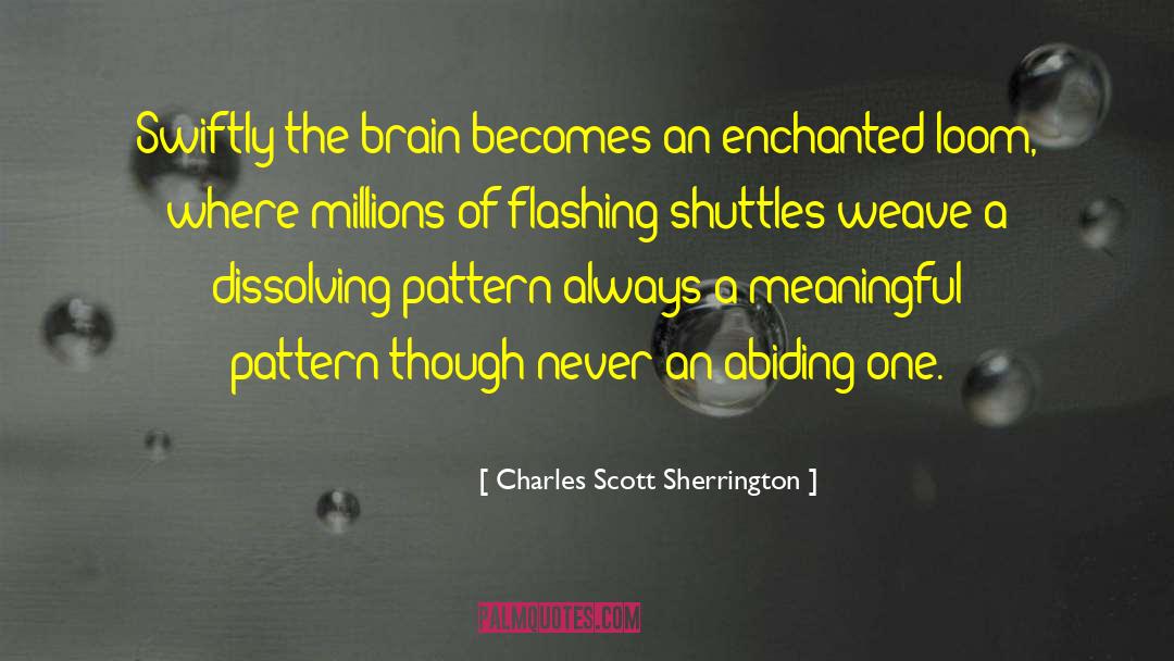 Shuttles quotes by Charles Scott Sherrington
