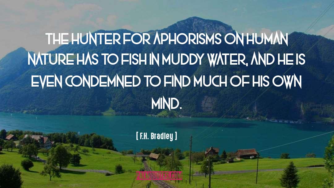 Shy Hunters quotes by F.H. Bradley