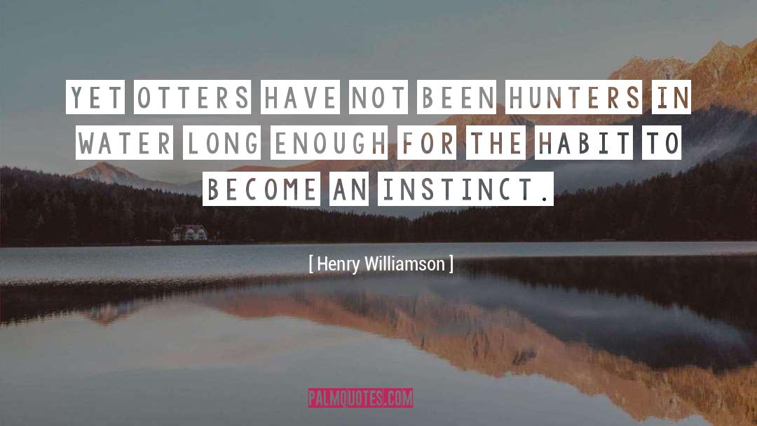 Shy Hunters quotes by Henry Williamson