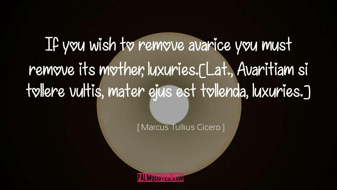 Si quotes by Marcus Tullius Cicero