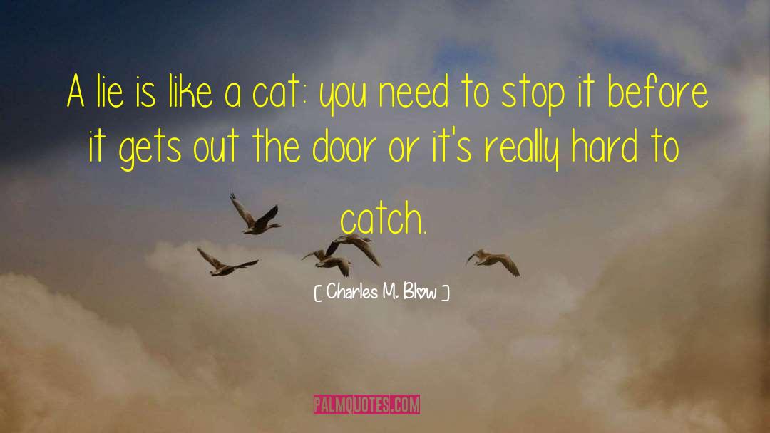 Siamese Cat quotes by Charles M. Blow