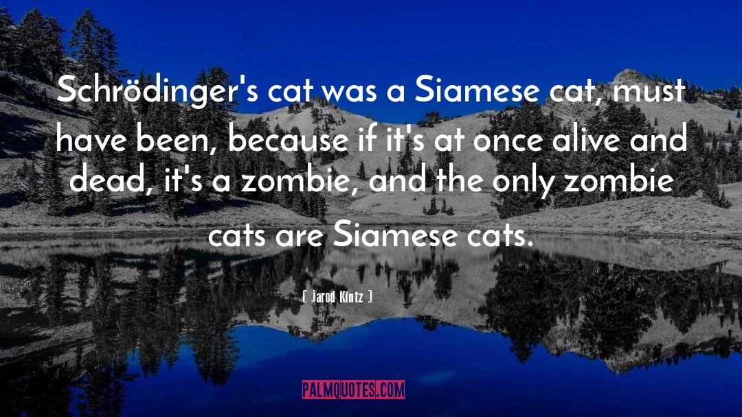 Siamese Cat quotes by Jarod Kintz