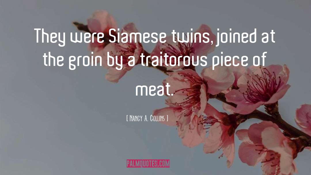 Siamese Twins quotes by Nancy A. Collins