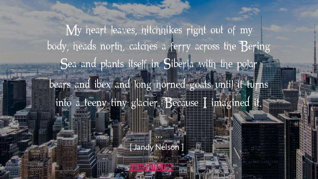 Siberia quotes by Jandy Nelson