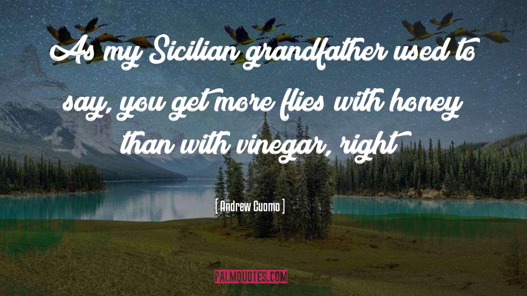 Sicilian quotes by Andrew Cuomo