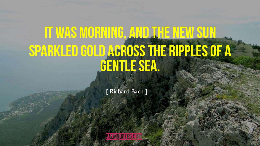 Siciliana Bach quotes by Richard Bach