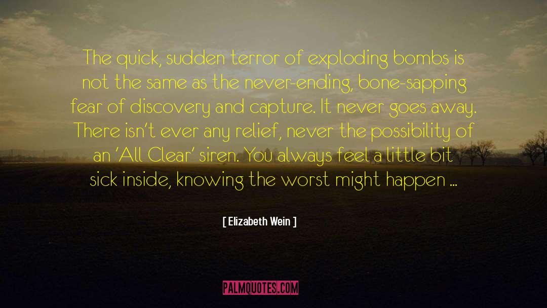 Sick Inside quotes by Elizabeth Wein