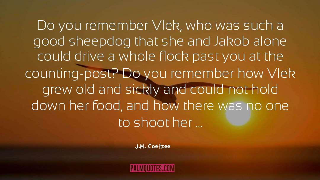 Sickly quotes by J.M. Coetzee