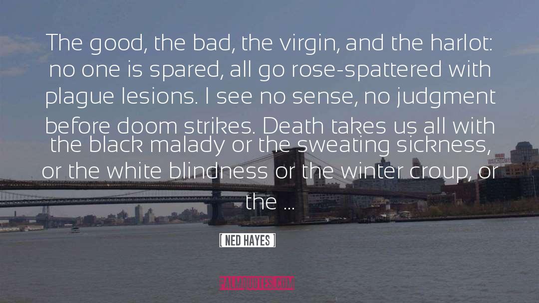 Sickness And Health quotes by Ned Hayes